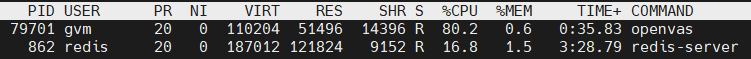output from top showing openvas at 80%